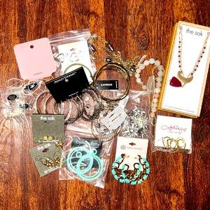 NWT Lot of 20 pieceJewelry Bundle~Earrings ~Necklaces~Bracelets~Chicos Express